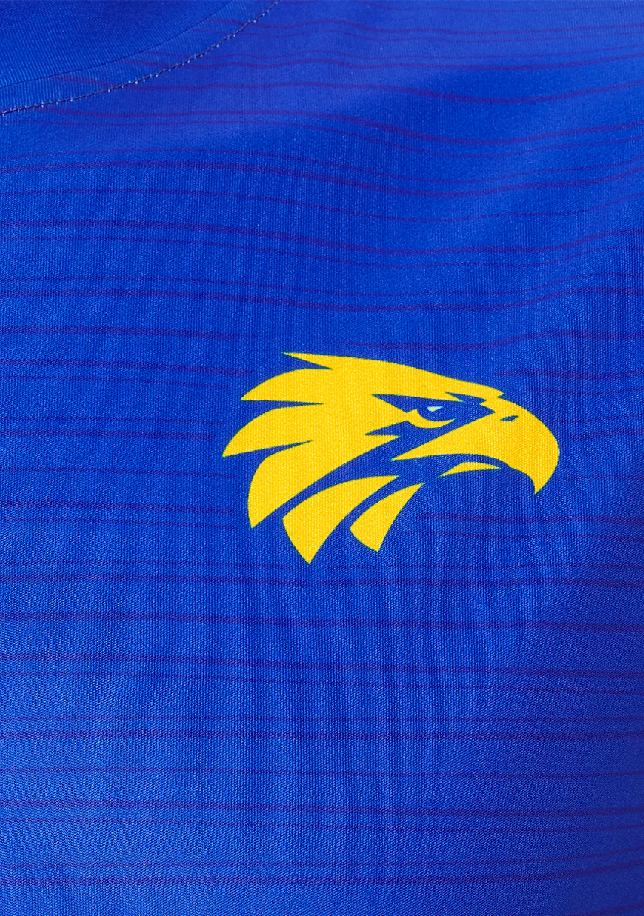 Castore Mens West Coast Eagles Training Singlet <BR> TM0477